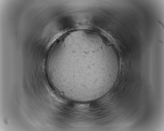 X0000100860155200807070942