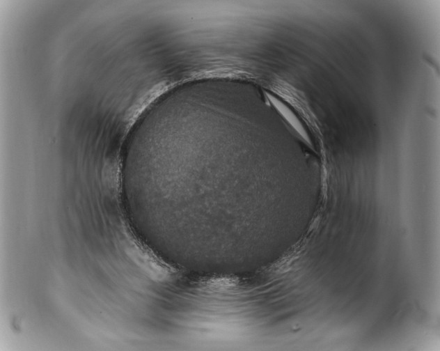 X0000100860156200807070942