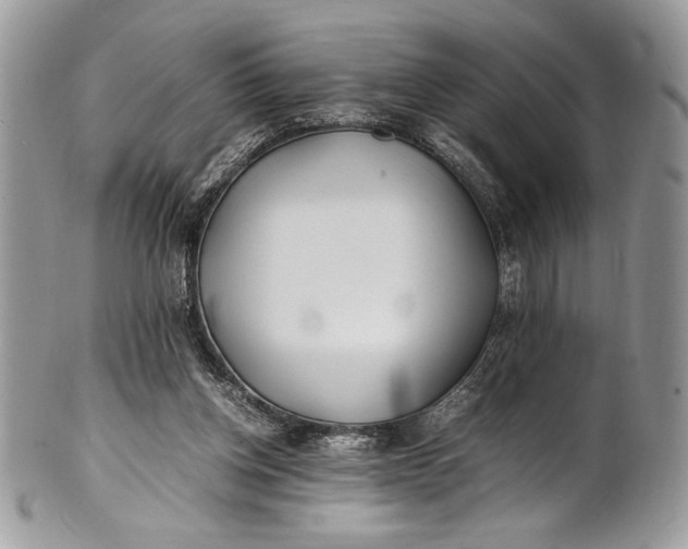 X0000100860158200807070942