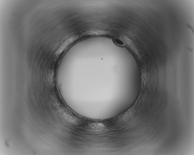 X0000100860159200807070942