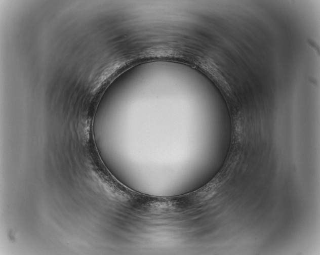 X0000100860160200807070942