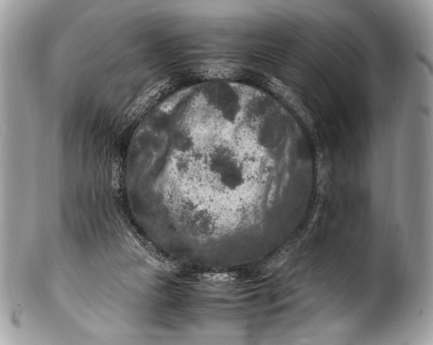 X0000100860161200807070942