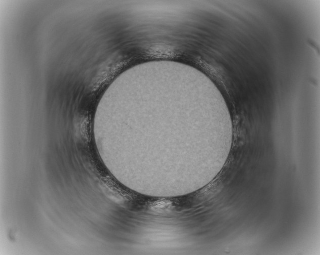 X0000100860162200807070942