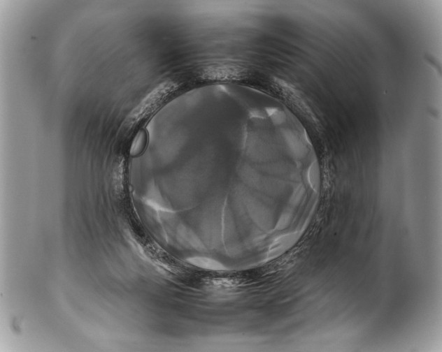 X0000100860163200807070942