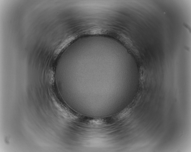 X0000100860164200807070942