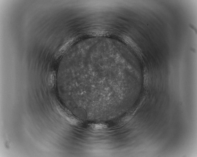 X0000100860165200807070942