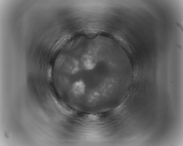 X0000100860166200807070942