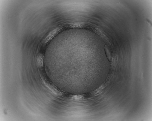 X0000100860168200807070942