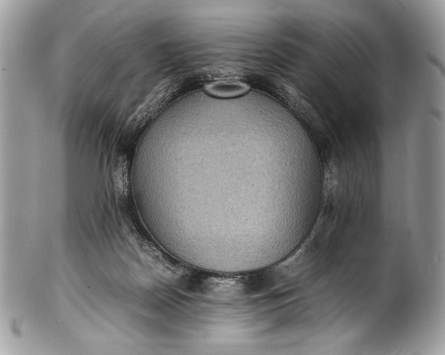 X0000100860170200807070942