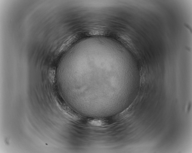 X0000100860171200807070943