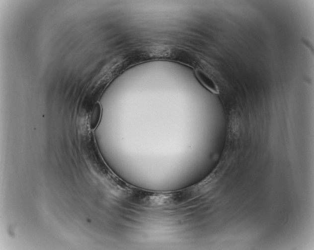 X0000100860172200807070943