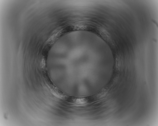 X0000100860173200807070943