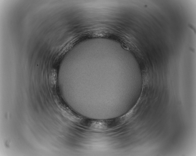 X0000100860174200807070943