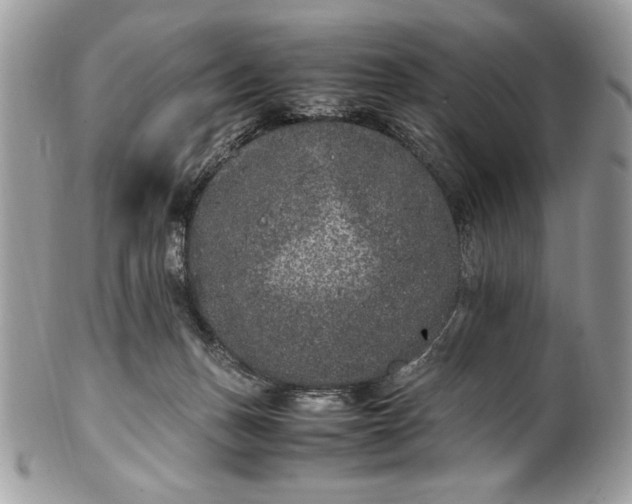 X0000100860175200807070943