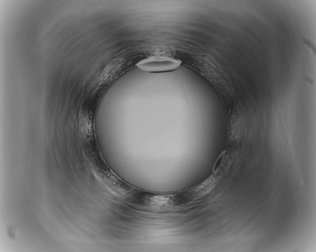 X0000100860176200807070943