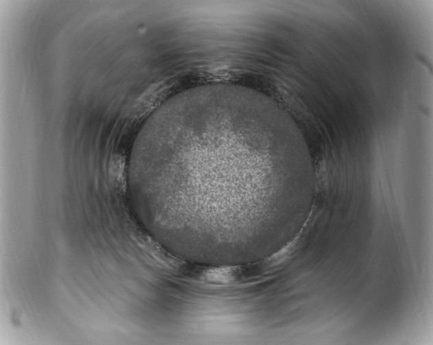 X0000100860178200807070943