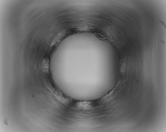 X0000100860179200807070943