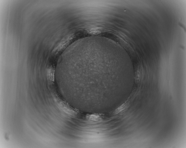 X0000100860180200807070943