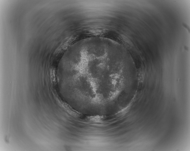 X0000100860182200807070943