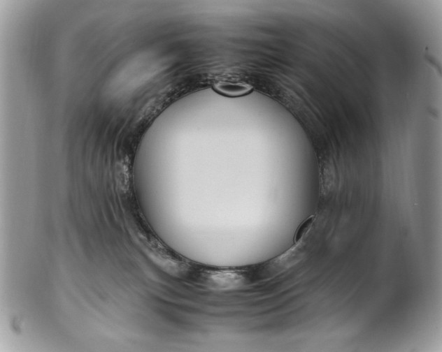 X0000100860183200807070943