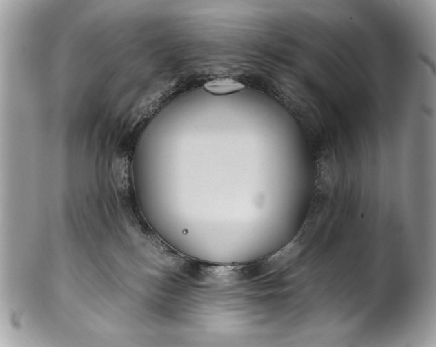 X0000100860184200807070943