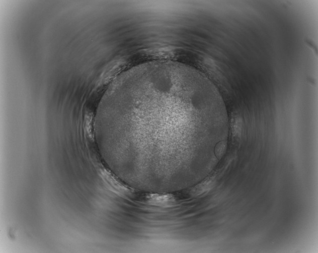 X0000100860185200807070943