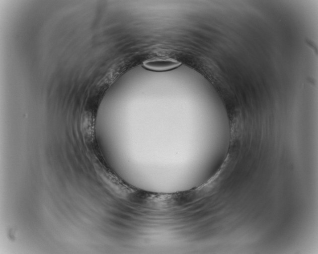 X0000100860186200807070943