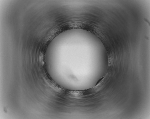 X0000100860187200807070943