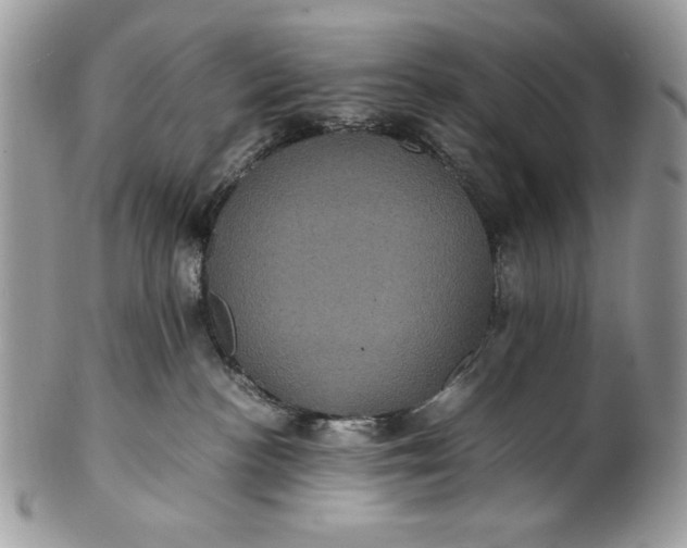 X0000100860188200807070943