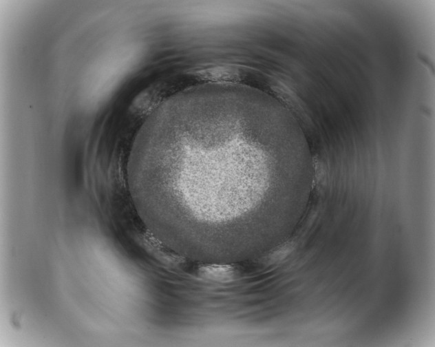 X0000100860189200807070943