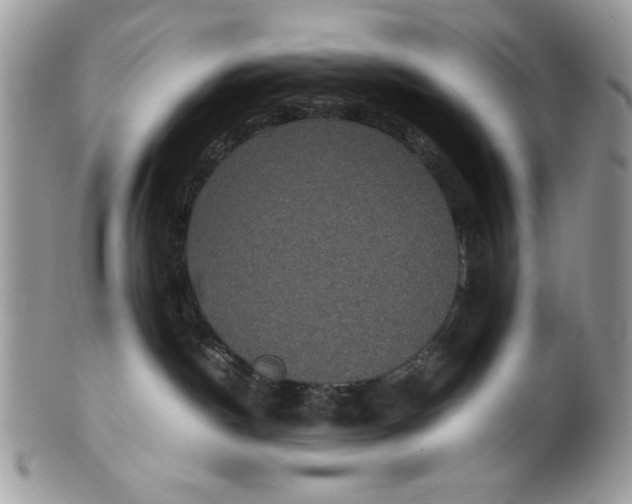 X0000100860190200807070943