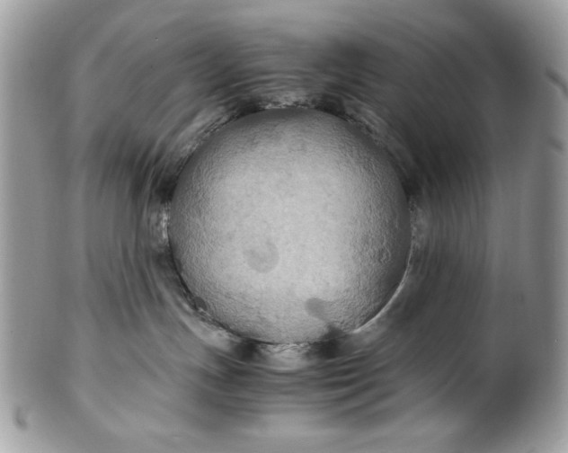 X0000100860191200807070943