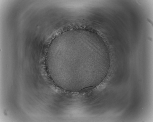 X0000100860192200807070943