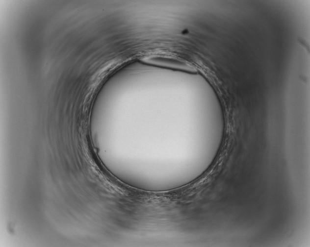 X0000100860193200807070942