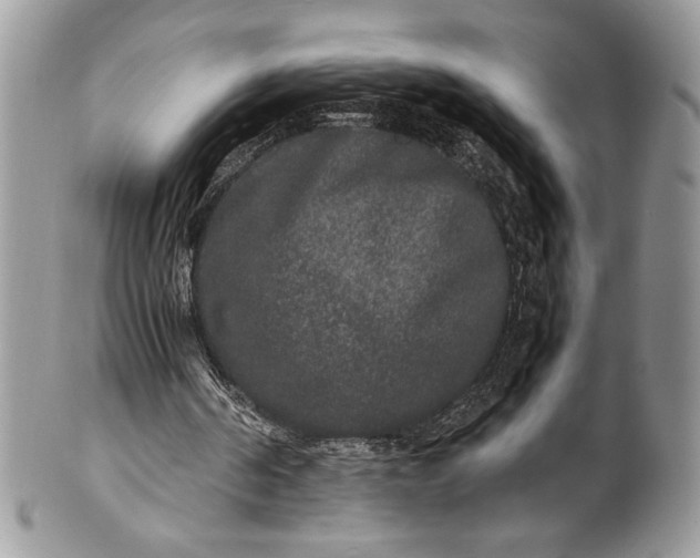 X0000100860194200807070942