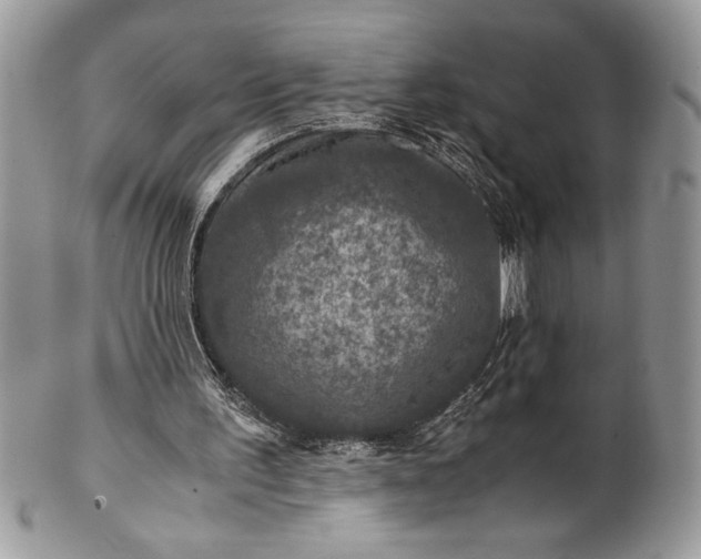 X0000100860195200807070942