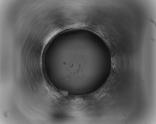 X0000100860196200807070942