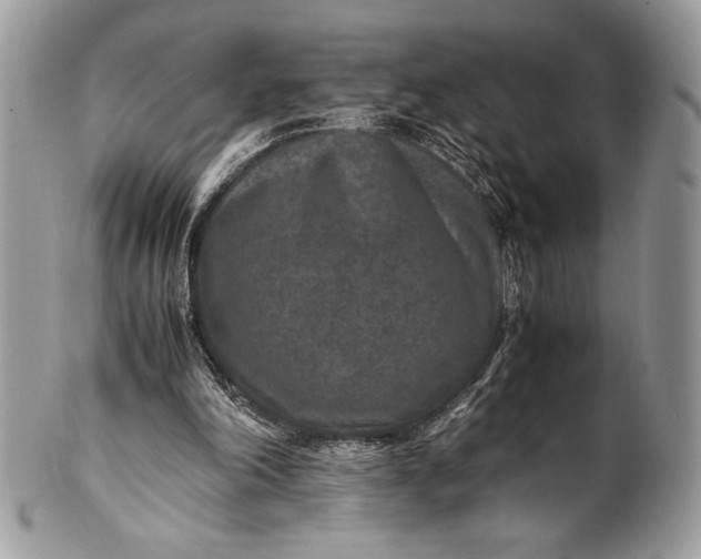 X0000100860198200807070942