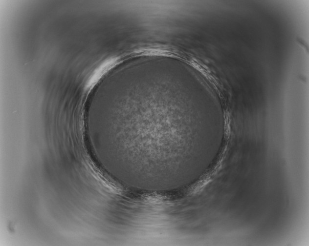 X0000100860199200807070942