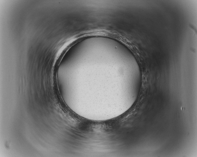 X0000100860200200807070942