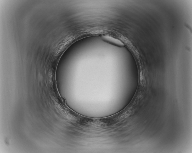 X0000100860201200807070942