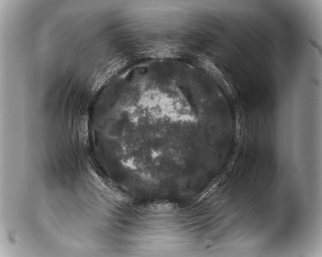 X0000100860202200807070942