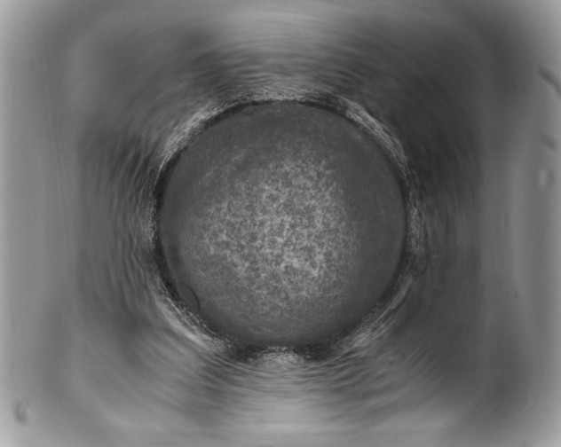 X0000100860203200807070942