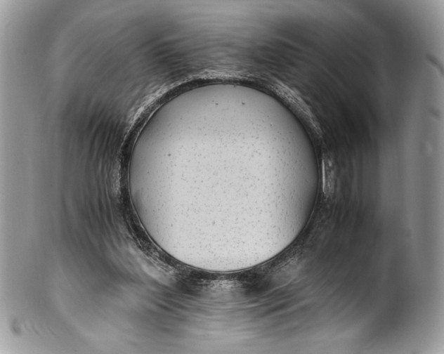 X0000100860204200807070942