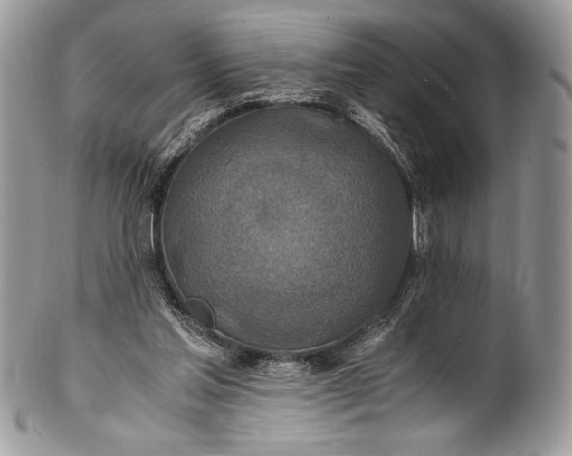 X0000100860205200807070942