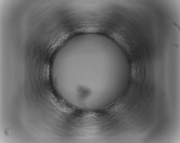 X0000100860206200807070942