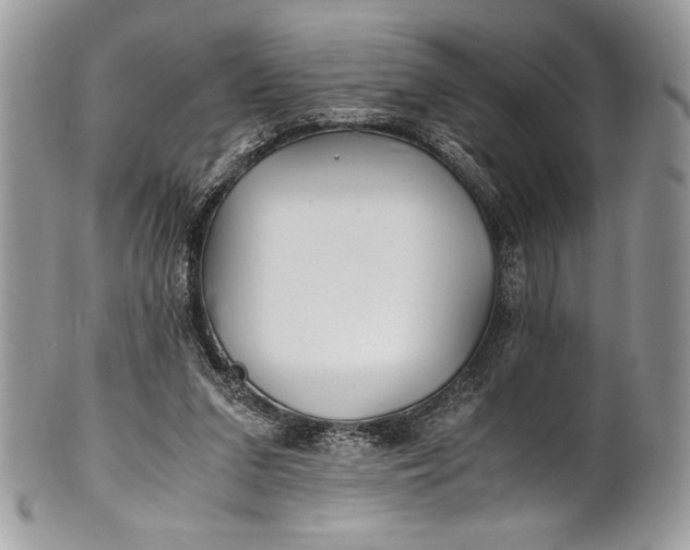 X0000100860207200807070942