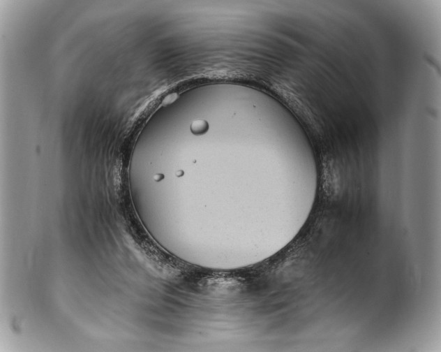 X0000100860208200807070942