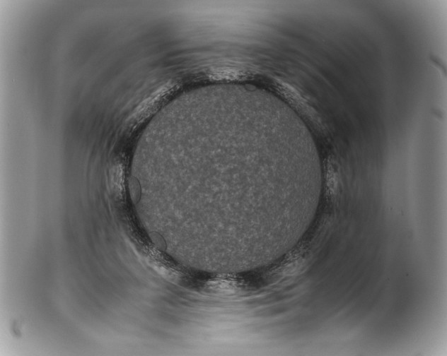 X0000100860211200807070942