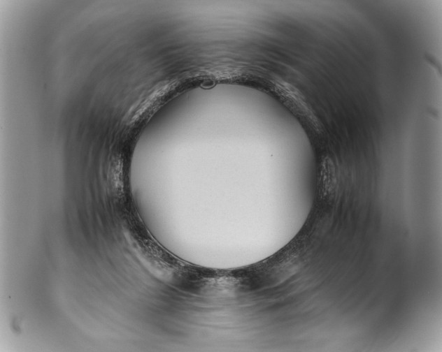 X0000100860212200807070942